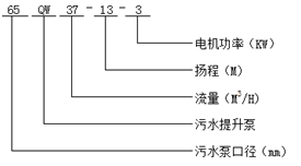 大東海泵業(yè)污水提升泵