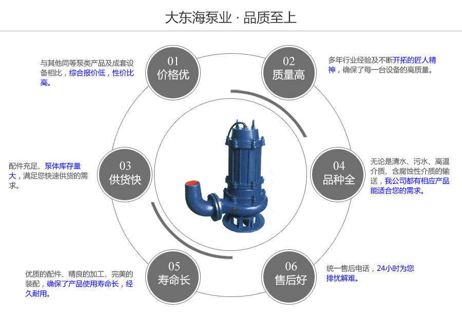 大東海泵業(yè)WQ型潛水泵質量保證圖