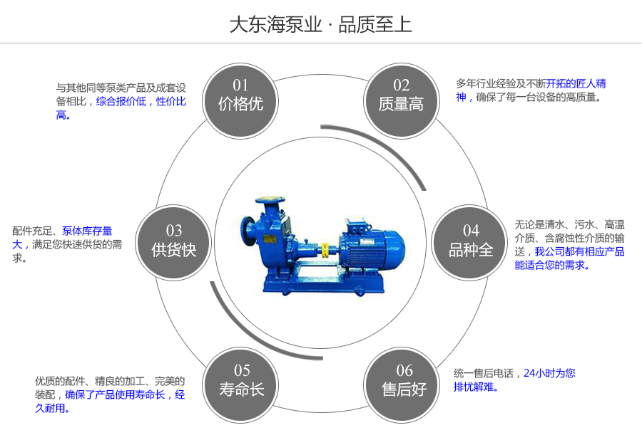 大東海泵業(yè)無(wú)堵塞自吸式排污泵質(zhì)量保證圖