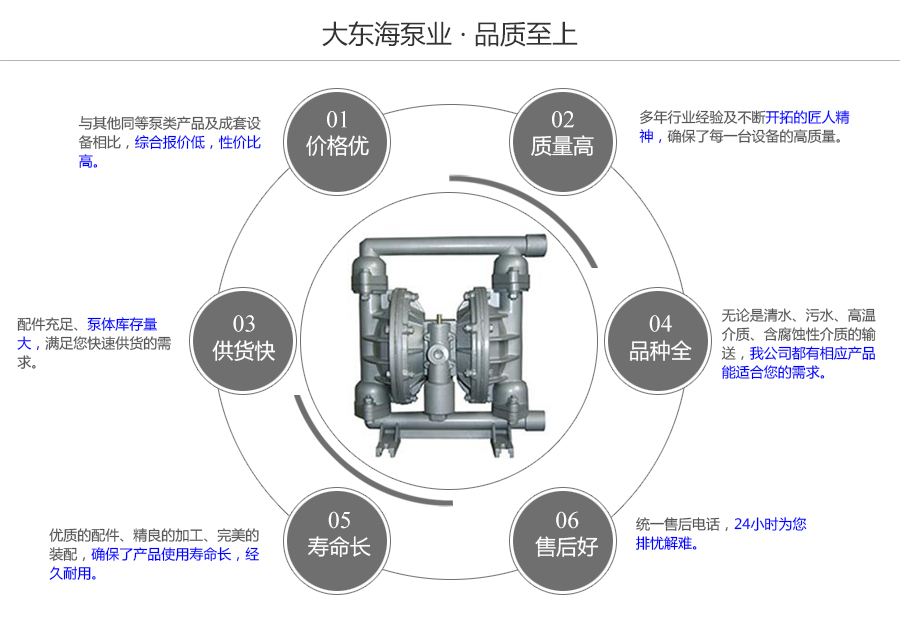 大東海泵業(yè)QBY型鑄鐵氣動(dòng)隔膜泵質(zhì)量保證圖