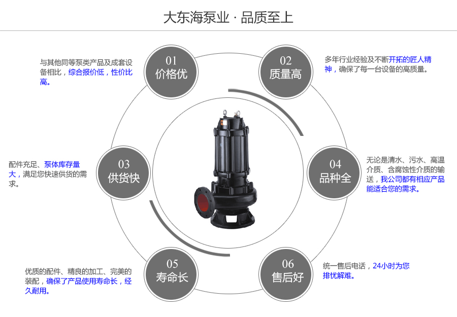 大東海泵業(yè)WQ型無堵塞污水泵質(zhì)量保證圖